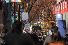 表参道