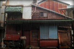 夏の雨