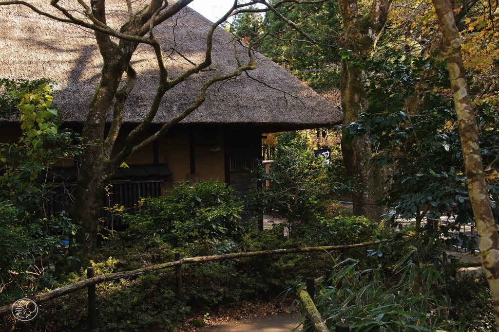 箱根甘酒茶屋　２