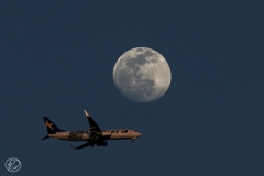 羽田空港の新着陸コースの旅客機 －７