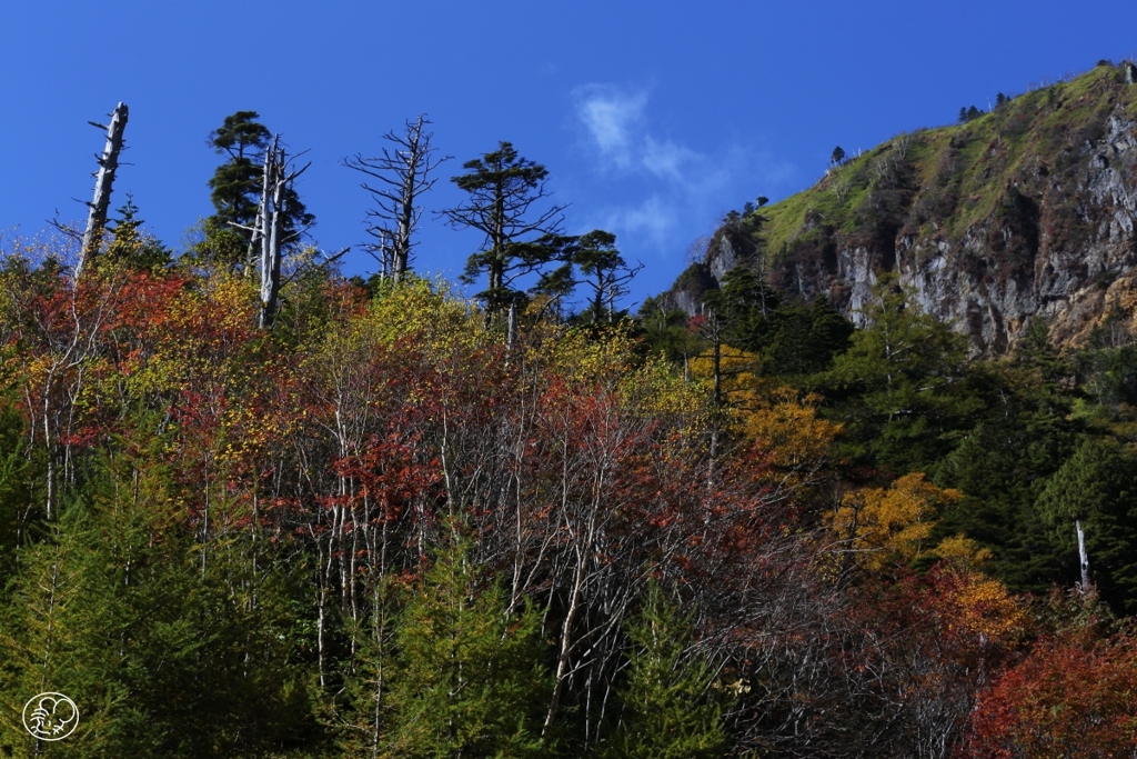 金精峠　１