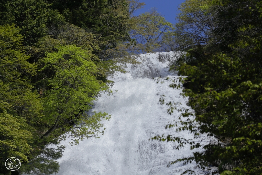 湯滝を仰ぐ