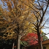 去秋公園　９