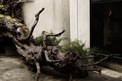 神宮前界隈 －８