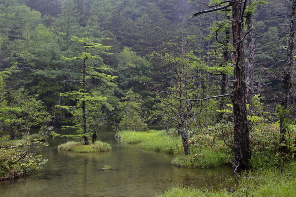 明神二之池　２