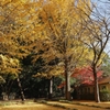 去秋公園　８