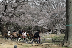 公園の日射しにぬくもり