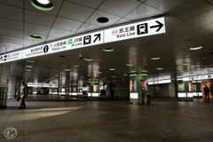 朝の散歩道 －９