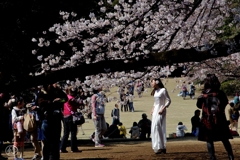 花に華