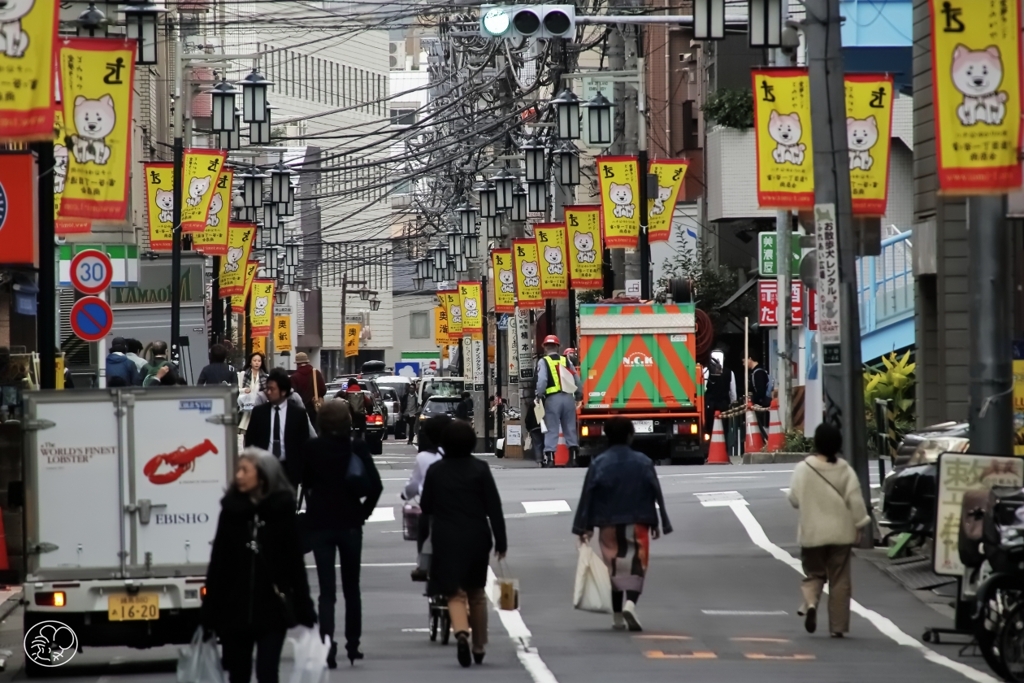 奥渋