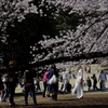 賑わいの春