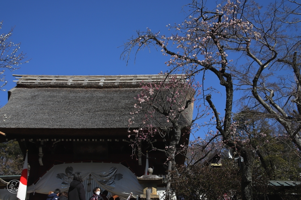 深大寺山門