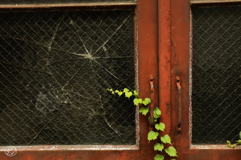 開かずの扉