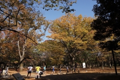 公園の秋 －４