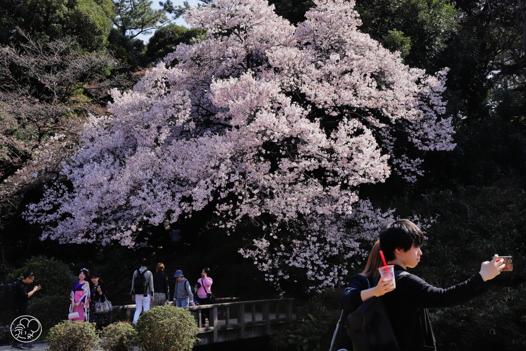 ふたりの春