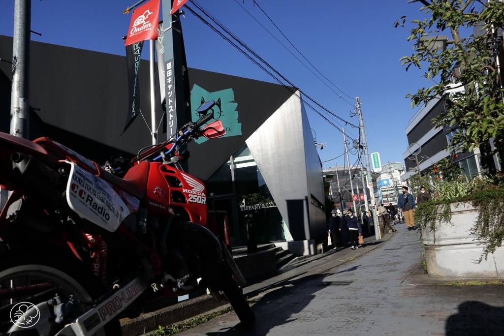 原宿、キャットストリート　６