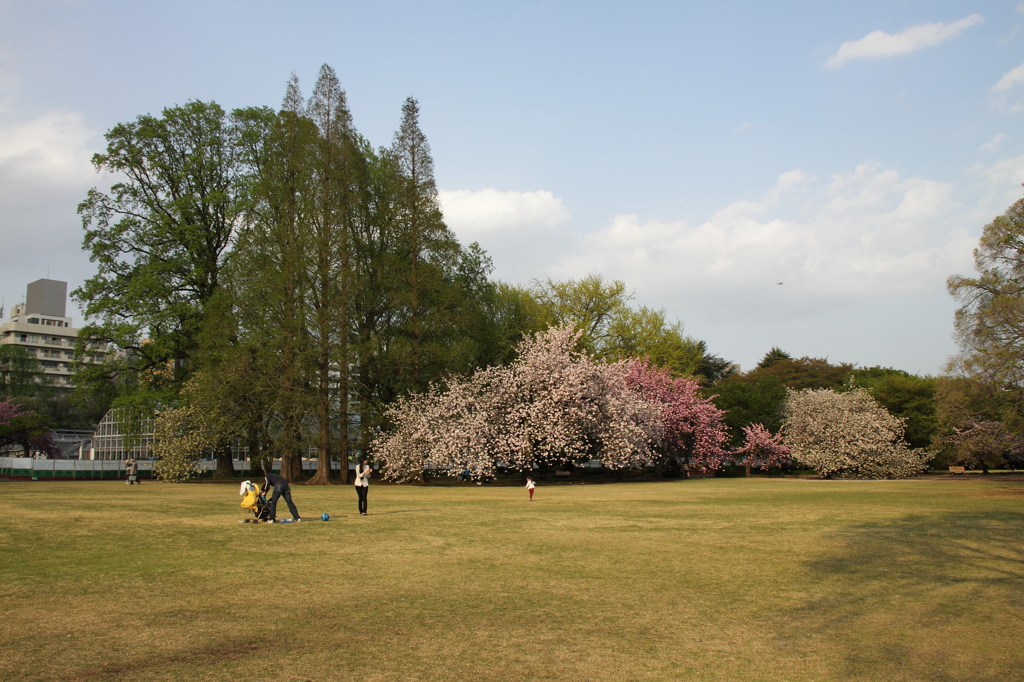 閉園まであと５分