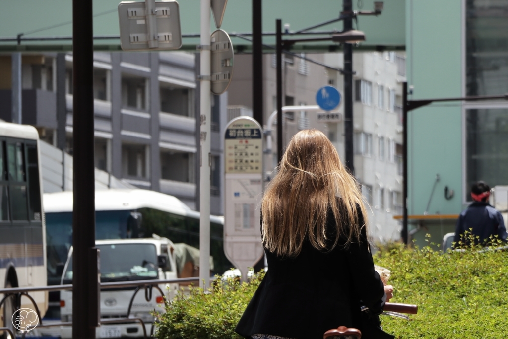 日射しが柔らかくて