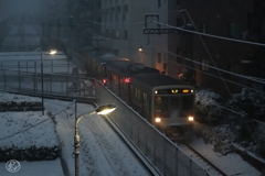 雪の日