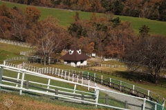 県立まきば公園　１