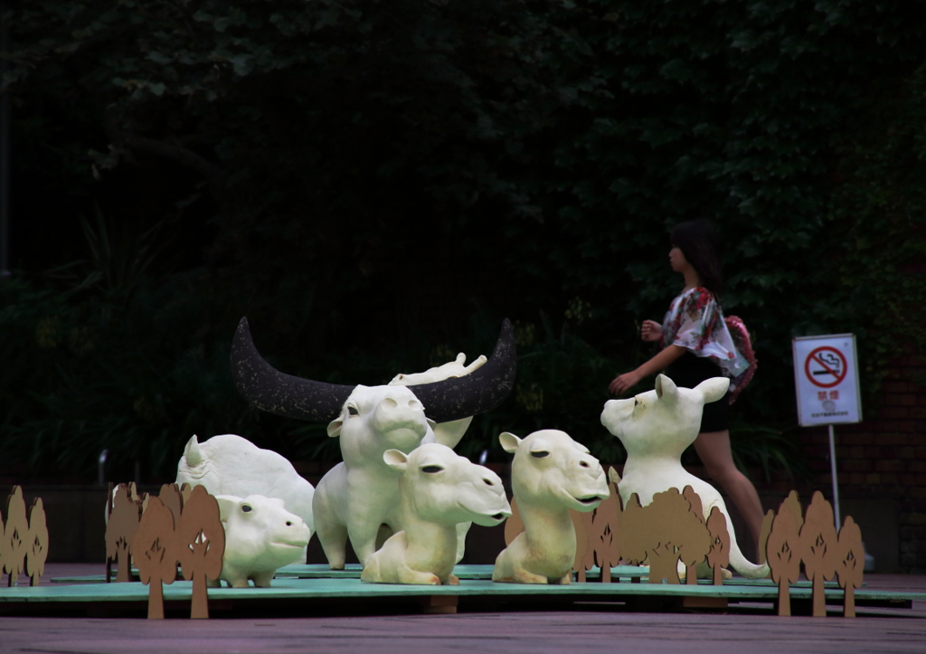 ＺＯＯ