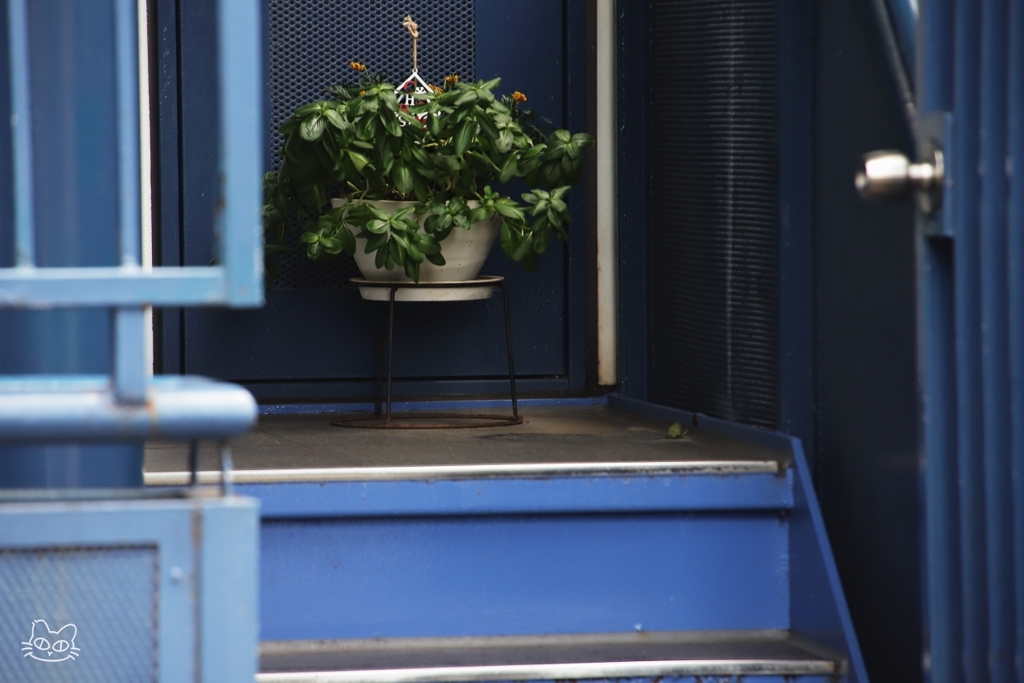 北青山界隈　１８