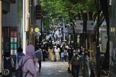 ５月３日憲法記念日　６