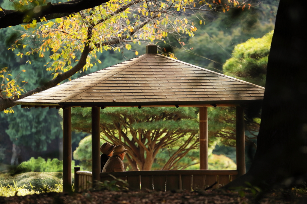 公園の人々－９