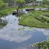 雲に浮かぶ