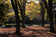 公園の人々－５