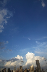 秋空が恋しい
