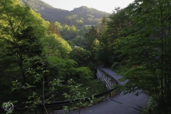 温泉宿への道