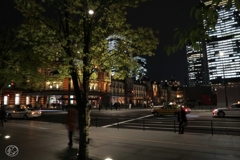 夜の表玄関