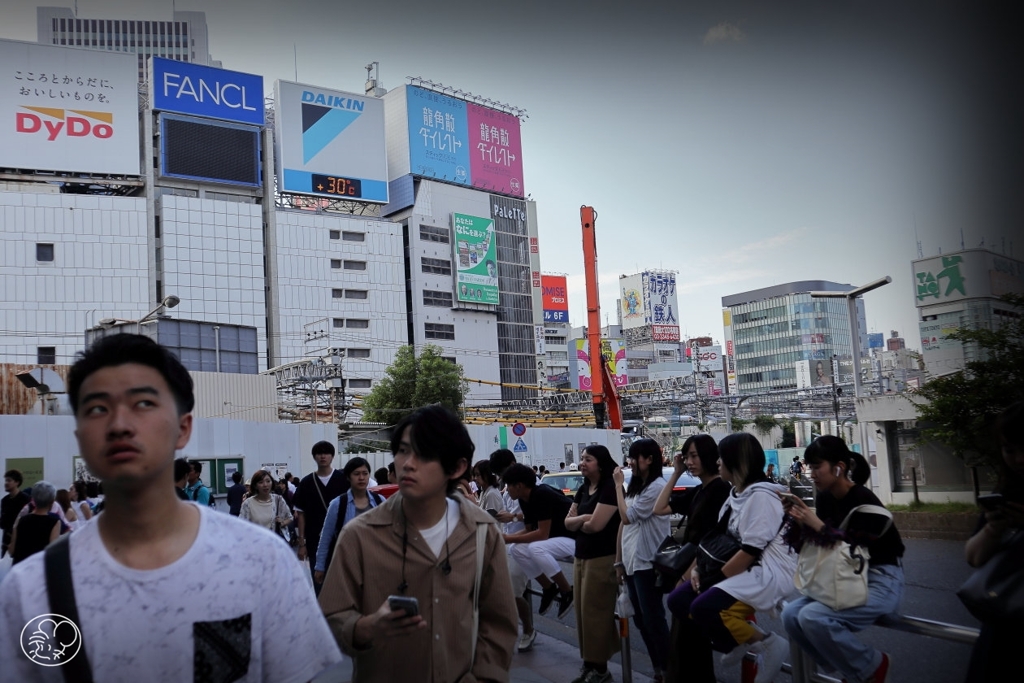 待つ探す見る