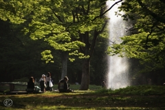 新緑公園　１