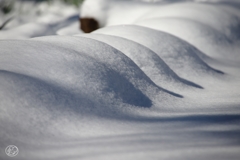 雪の造形