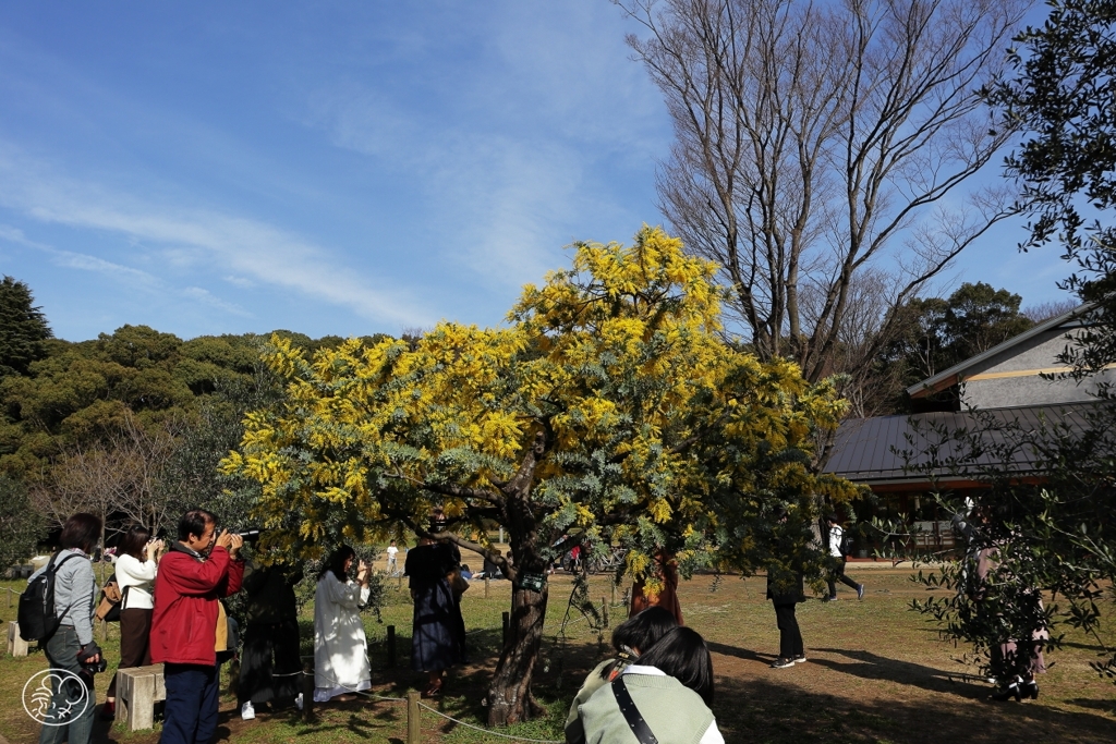 春の光景