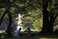 晴れた日の日曜は