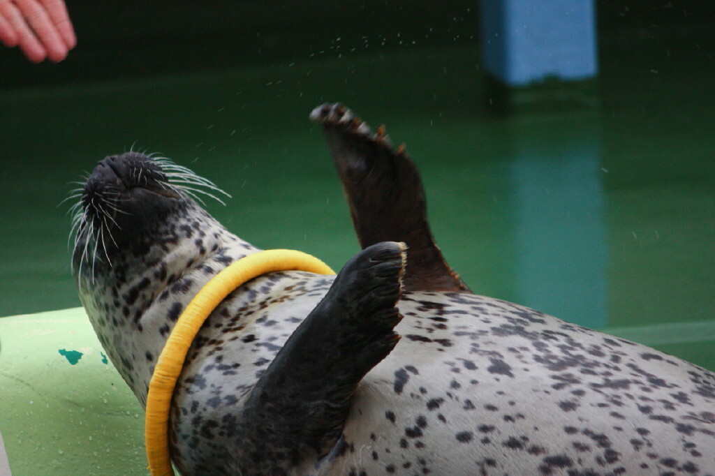 おたる水族館