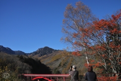 東沢大橋と八ヶ岳　３