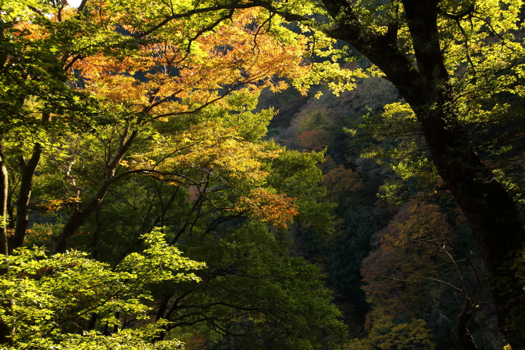 大山、影深し