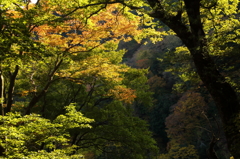 大山、影深し
