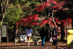公園の人々－１５