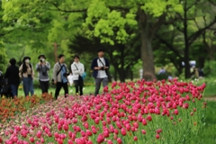 昭和記念公園　５