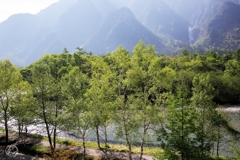 対岸の 森の向こうの 山ひだに わずかに残る この冬の雪 