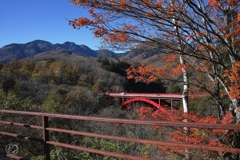 東沢大橋と八ヶ岳　１