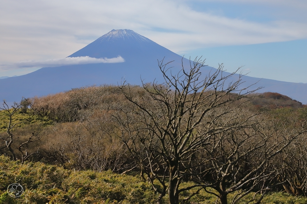 箱根駒ケ岳山頂遠望