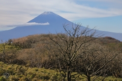 箱根駒ケ岳山頂遠望