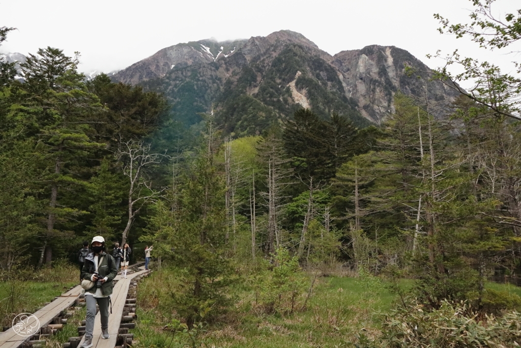 岳沢湿原