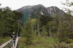 岳沢湿原